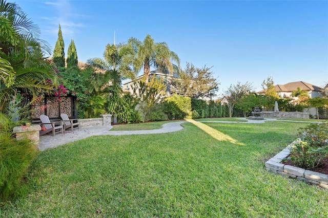 view of yard featuring a patio area