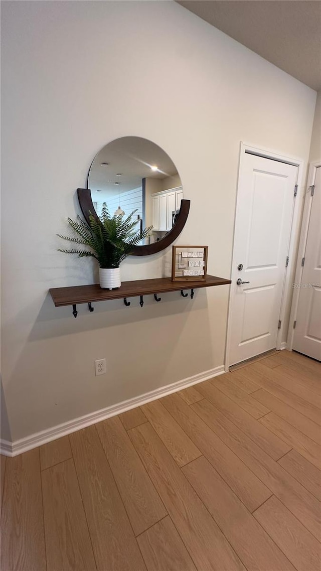 room details with hardwood / wood-style floors