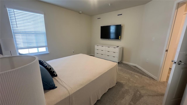 bedroom featuring carpet floors