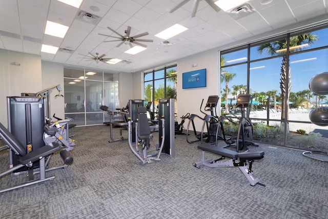 exercise room featuring a paneled ceiling, a wall of windows, a healthy amount of sunlight, and ceiling fan