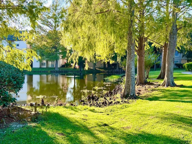 exterior space featuring a lawn and a water view