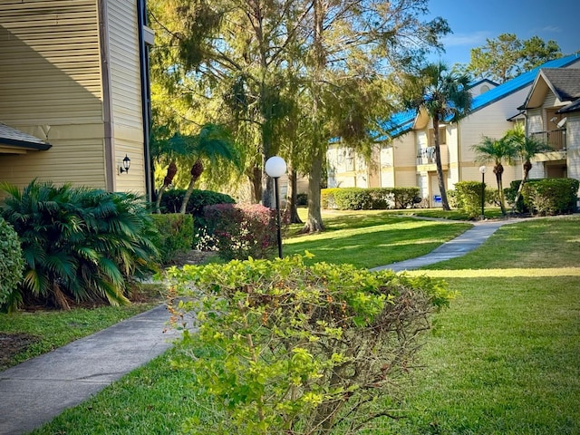 view of community featuring a lawn