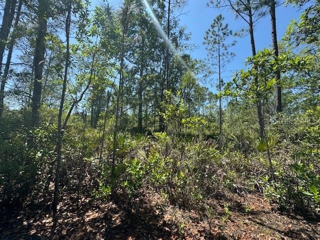 Ninemile Point Rd, Pierson FL, 32180 land for sale