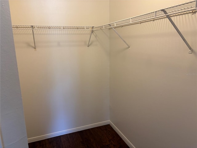 spacious closet featuring hardwood / wood-style floors