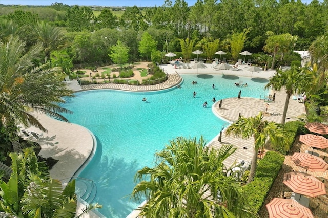 view of swimming pool featuring a patio area