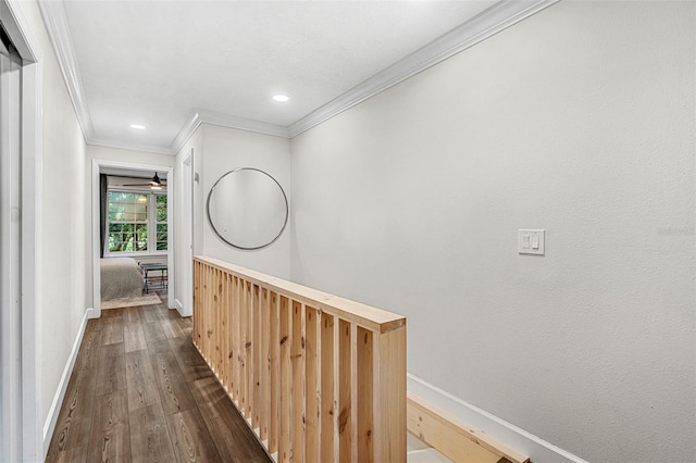 corridor with dark hardwood / wood-style floors and crown molding