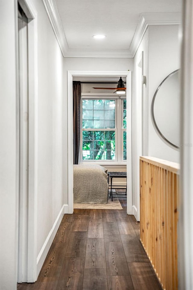 corridor featuring crown molding and dark wood-type flooring