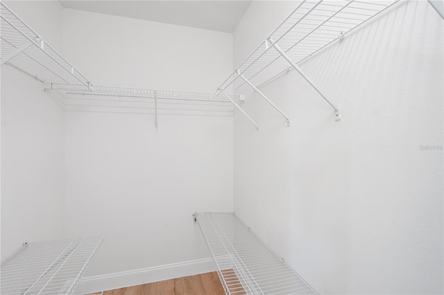 spacious closet featuring hardwood / wood-style flooring