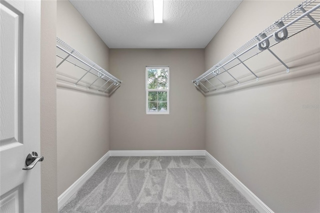 spacious closet with carpet flooring