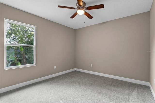 spare room with carpet flooring