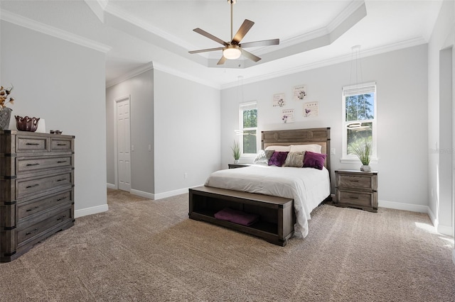 carpeted bedroom with multiple windows, a tray ceiling, ceiling fan, and ornamental molding