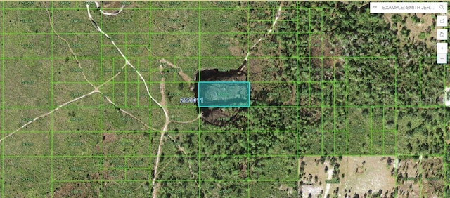 Tiger Lake Rd, Lake Wales FL, 33898 land for sale