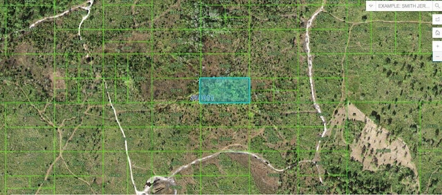 Tiger Lake Rd, Lake Wales FL, 33898 land for sale