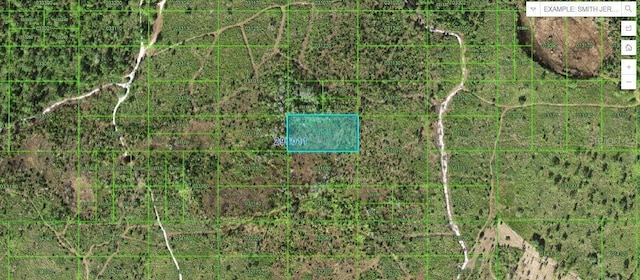 Tiger Lake Rd, Lake Wales FL, 33898 land for sale