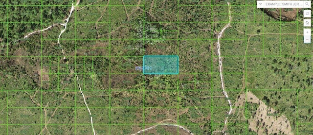 Tiger Lake Rd, Lake Wales FL, 33898 land for sale