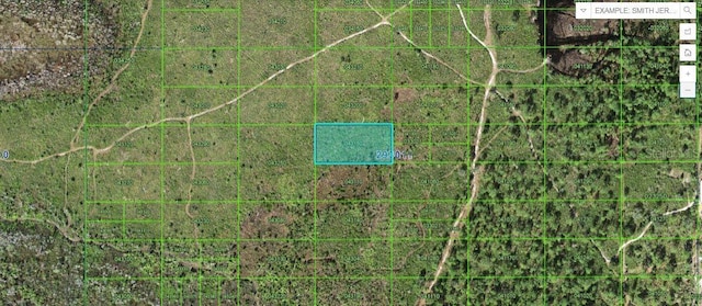 Tiger Lake Rd, Lake Wales FL, 33898 land for sale