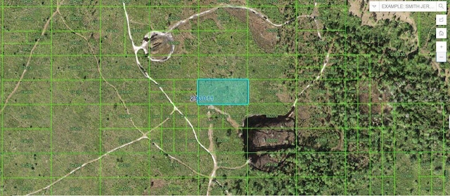 Tiger Lake Rd, Lake Wales FL, 33898 land for sale