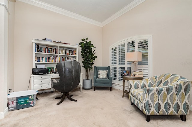 home office with crown molding and carpet floors