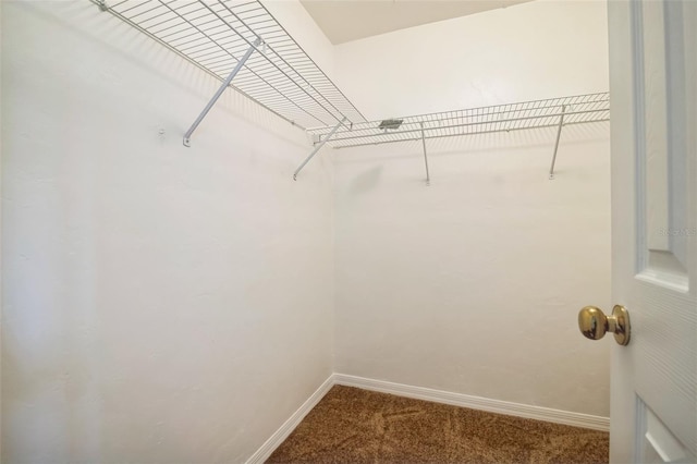 spacious closet with carpet