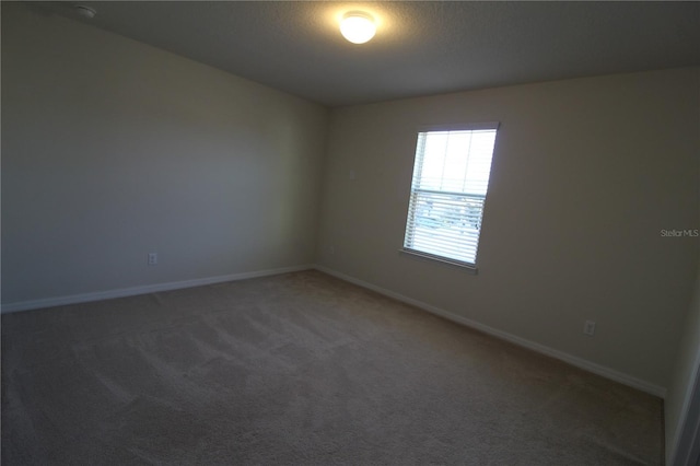 unfurnished room featuring carpet floors