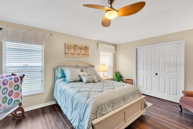 bedroom featuring dark hardwood / wood-style flooring, multiple windows, and a closet