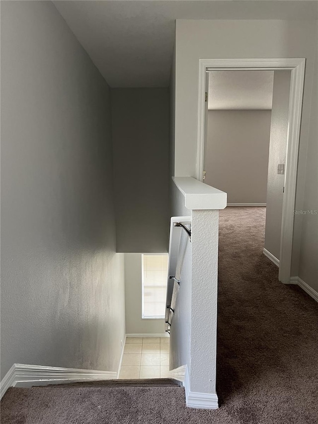 stairway with carpet floors