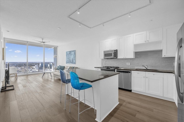 kitchen with sink, appliances with stainless steel finishes, a wall of windows, and white cabinetry