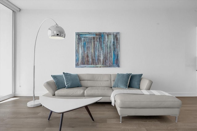 living room with wood-type flooring