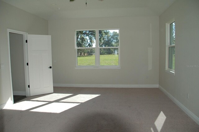 empty room featuring carpet