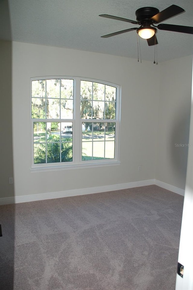 empty room featuring ceiling fan, carpet, and a textured ceiling