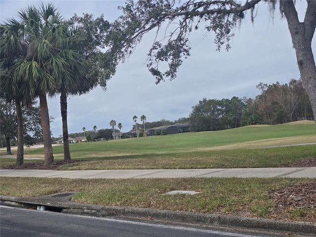 view of home's community with a yard