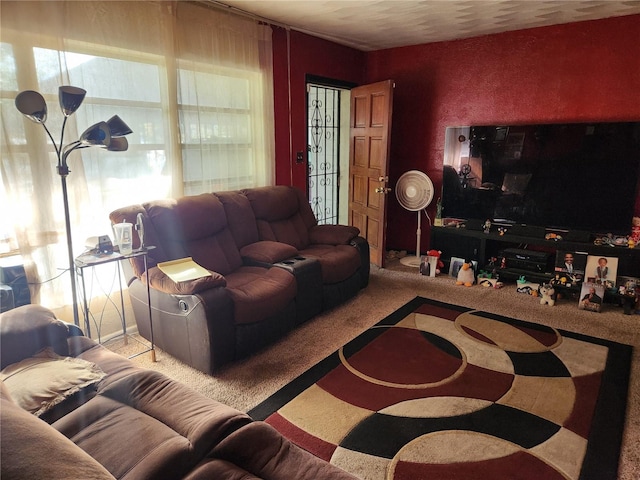 living room with carpet floors