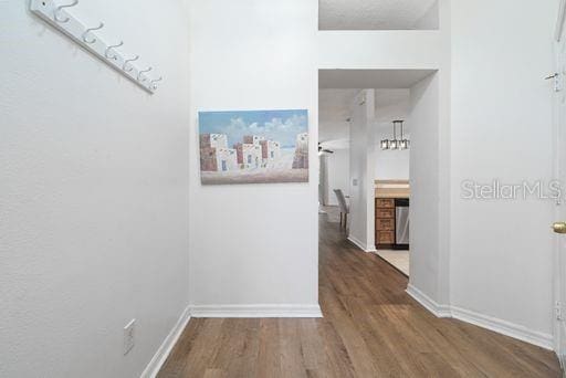 hallway featuring dark hardwood / wood-style floors