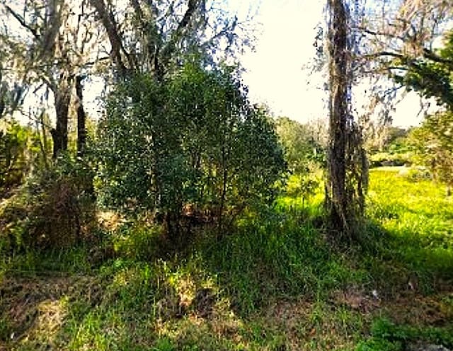 3883 Barnes Rd, Auburndale FL, 33823 land for sale