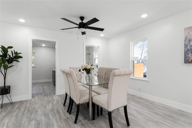 dining room with ceiling fan and light hardwood / wood-style flooring