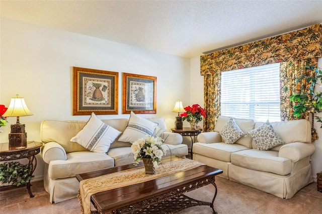 carpeted living room with a textured ceiling