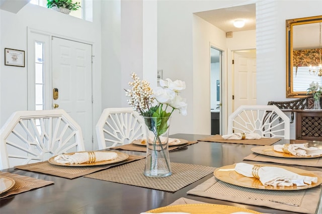 dining room featuring a healthy amount of sunlight