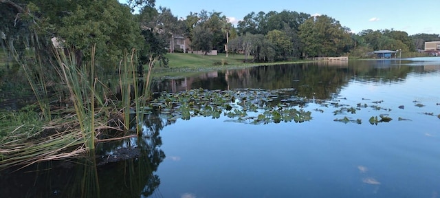 water view