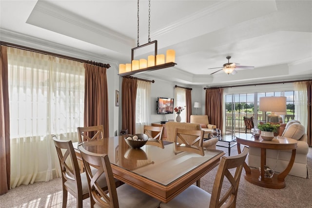 carpeted dining room featuring a raised ceiling, ceiling fan, and crown molding