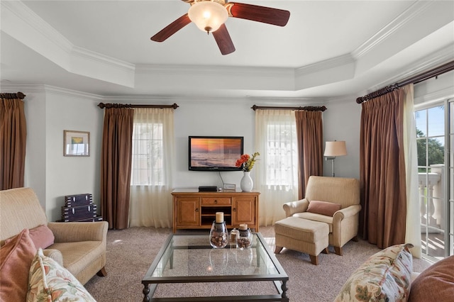 carpeted living room featuring plenty of natural light, a raised ceiling, and crown molding