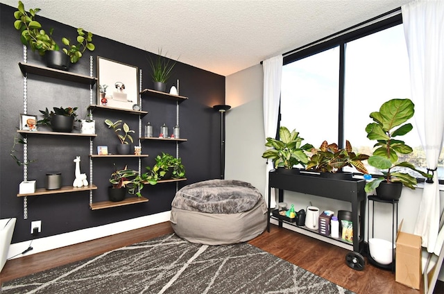 misc room featuring a textured ceiling, floor to ceiling windows, and dark wood-type flooring