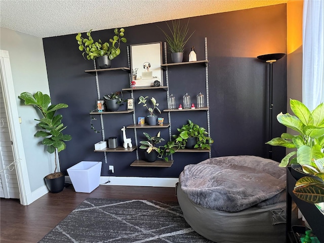 living area featuring a textured ceiling and dark hardwood / wood-style floors