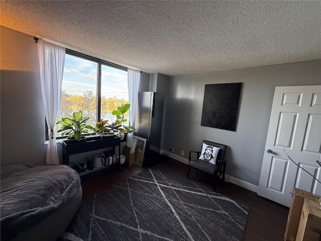 sitting room with dark hardwood / wood-style flooring and a textured ceiling