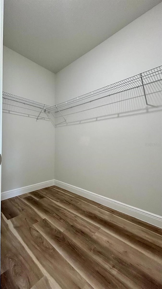 spacious closet with hardwood / wood-style flooring