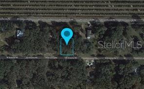 3122 W Chelsea Rd, Avon Park FL, 33825 land for sale