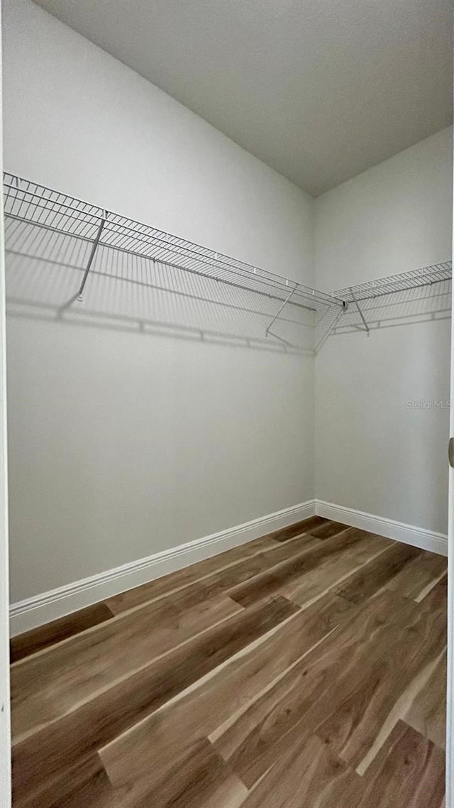 spacious closet with wood-type flooring