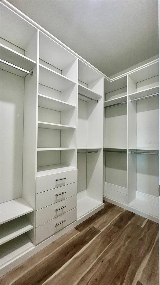 walk in closet with dark wood finished floors