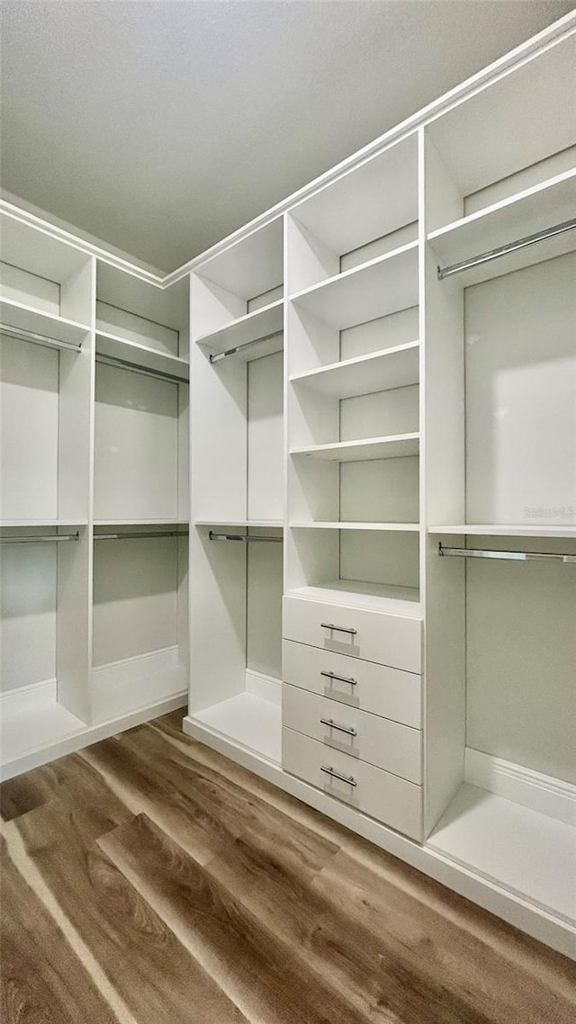 walk in closet with dark wood-type flooring