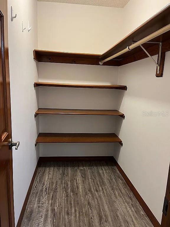 spacious closet with dark hardwood / wood-style flooring