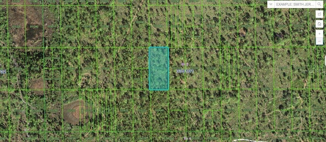 N/A, Lake Wales FL, 33898 land for sale